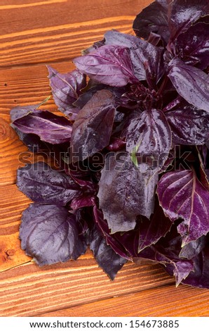 Bunch of Perfect Fresh Purple Basil Leaves closeup on Wooden Background