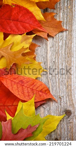 Border of Variegated Autumn Leafs isolated on Rustic Wooden background