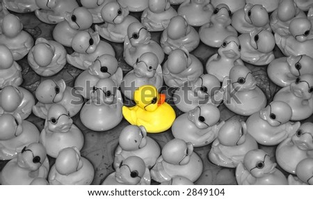 Lone rubber duck being different from the others