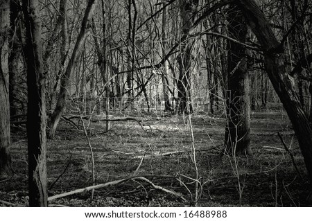 Creepy forest at night. Great for Halloween background