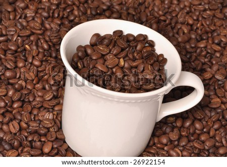 White coffee cup filled with dark roasted beans