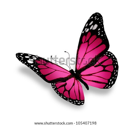 Pink Butterfly, Isolated On White Background Stock Photo 105407198 ...