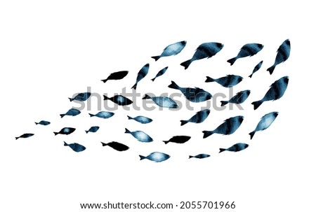 Similar – Image, Stock Photo swarming with fish Flock