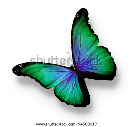 Green,blue butterfly, isolated on white