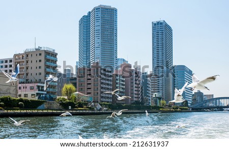 TOKYO - MARCH 24: View of skyscrapers in the Tokyo Bay area on March 24, 2014 in Tokyo, Japan. The Tokyo Bay region is both the most populous and largest industrialized area in Japan.