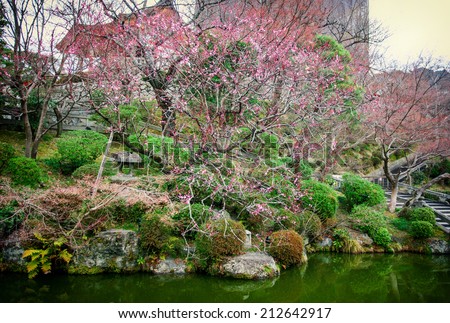 KYOTO - MARCH 25: Zen garden of the Kiyomizu-dera Temple on March 25, 2014 in Kyoto, Japan. Founded in the 700\'s, the present stage structure of the Temple dates from 1633.