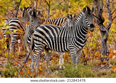 Zebra in Kruger National Park, South Africa, stylized and filtered to look like an oil painting