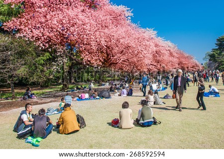 TOKYO, JAPAN - APRIL 4: Cherry blossoms festival in the Shinjuku Gyoen National Gardens on April 4, 2014 in Tokyo, Japan. Shinjuku Gyoen is a large park with an eminent garden in Shinjuku and Shibuya.
