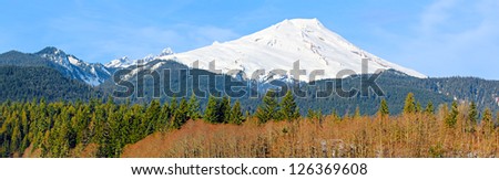 Mount Baker  in the Mt. Baker-Snoqualmie National forest