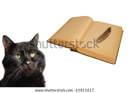 cat and old book isolated on a white...