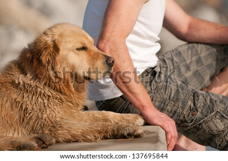 Similar – Image, Stock Photo Blond Labrador lies wet on Baltic Sea beach after bathing in the sea in cold, dull weather and looks into the camera