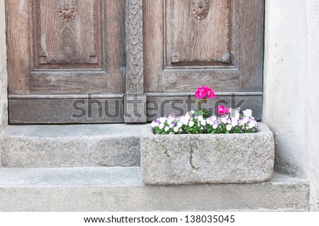 potted pink flowers on a step in front of a wooden house door
