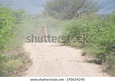 old indian man with his bicycle walking through the dusty lane in the national park in ranthambore - rajasthan