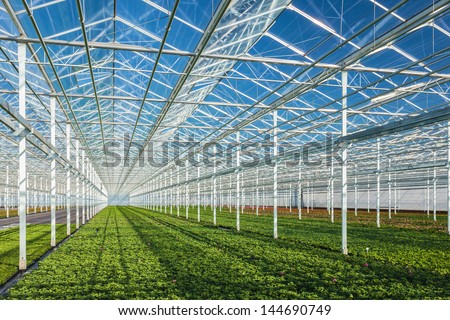 Similar – Image, Stock Photo Greenhouse glasshouse sunny interior full of fresh green plants. Modern interior architecture design. Natural Indoor decorative plants. Lush botanical garden. Beautiful spring background.