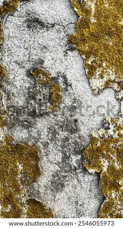 Image, Stock Photo patina Pattern filth Old