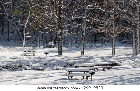 A heavy blanket of snow covers the picnic area of John Boyd Thacher Park in Voorheesville, New York