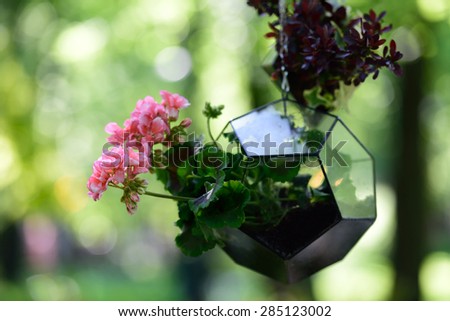 ST. PETERSBURG, RUSSIA - JUNE 4, 2015: Flowers in the art vase during the festival Emperor's Gardens of Russia. The exposition Silk Road Gardens is in focus of festival this year