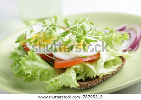 Healthy sandwich with lettuce, garden cress, boiled egg, tomato, and red onion on the rye bread. Shallow DOF