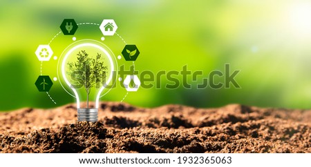 Environmental protection, renewable, sustainable energy sources. Plant growing in the bulb concept