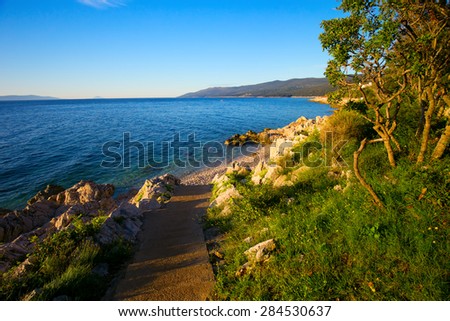 Amazing rocky beach with crystalic clean sea water with pine trees in the coast of Adriatic Sea, Istria, Croatia