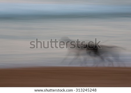 Abstract dog running with ocean and sky background with blurred panning motion causing soft feel