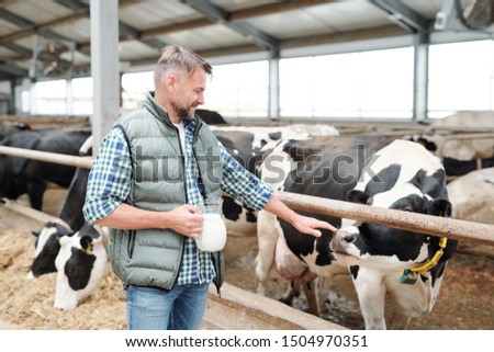 Foto Bild Landwirt berührt den Huf eines Kastanienpferdes