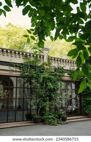 Similar – Image, Stock Photo Green door entwined with ivy