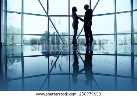 Outlines of employees handshaking by the window in office