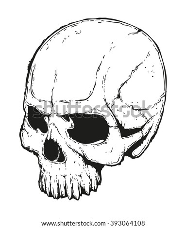 Half Skull Face Drawing At Getdrawings Free Download