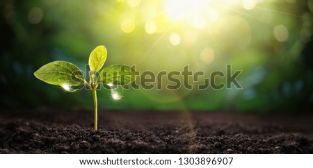 New Life