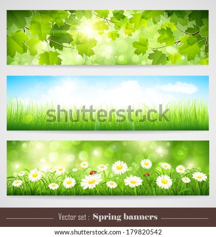 Spring banners. Vector