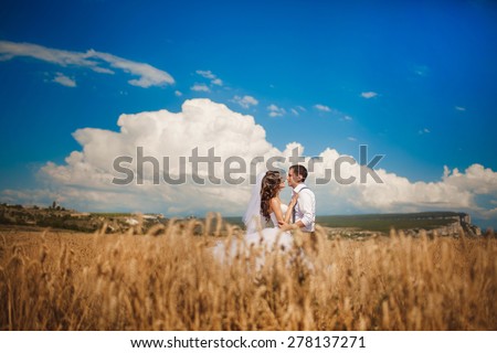 bride groom wedding day outdoors summer marriage, loving couple on nature catering bridal ceremony, sunset, soft light, series