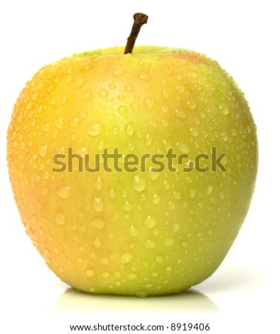 The ripe juicy apple covered by drops of water. Isolation on white, shallow DOF.