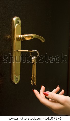 Sheaf of keys in a keyhole of an iron door