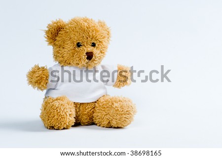 Teddy bear at isolated white background