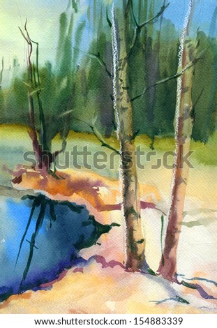 Landscape with pond and birch trees. Watercolor.