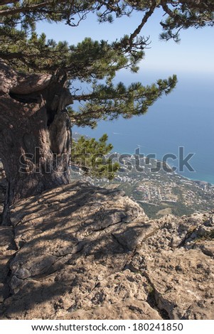 The southern coast of Crimea. Black Sea.  Summer landscape with rocky shore by the sea.