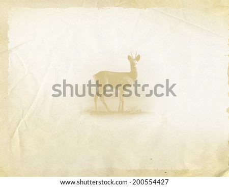 Page of the old book with the silhouette of a roe, yellowed sheet of paper, faded background.