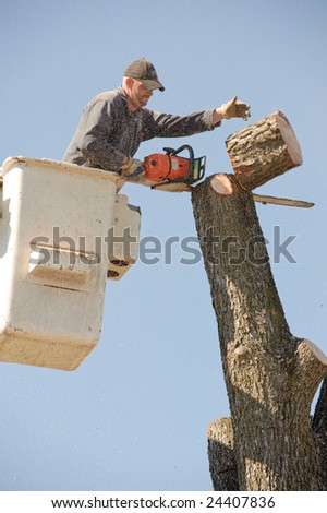 Lumberjacks chopping down a tree