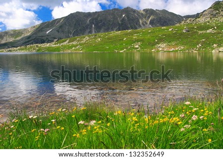 Glacier lake surrounded by meadows and flowers, Romania