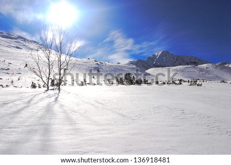 Mountains covered with snow under blue sky and shining sun in the winter