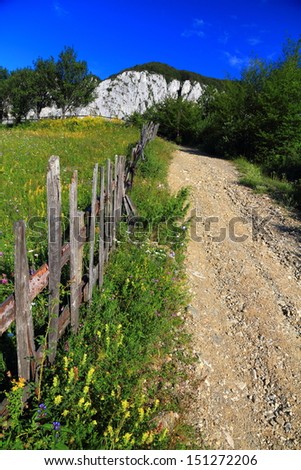 Gravel road and wood fence protecting the green meadow