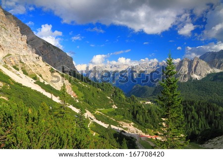 Green mountain side covered with pine trees and meadows and grey mountains in the background, Dolomite Alps, Italy