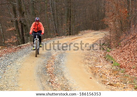 Autumn bike ride on winding forest road