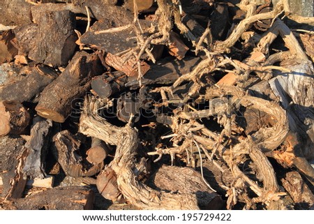 Maze of dead wood from Mediterranean area