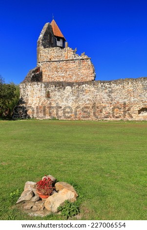 Flowers decorate the ruins of old fortified church in Carta, Transylvania, Romania