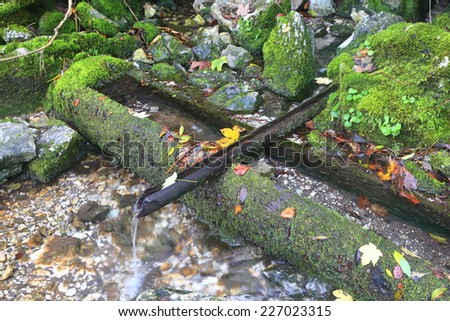 Traditional wood pipe collects water from a spring in autumn