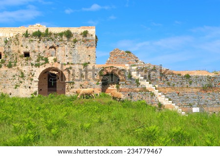 Walls and gates of ancient Roman town of Nicopolis and sheep herd on a green meadow, Greece