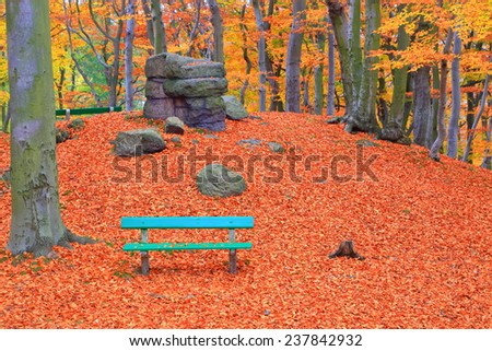 Relaxation spot on autumn forest with green bench in Karlovy Vary, Czech Republic