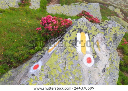Pink flowers and colorful trail sign painted on large boulder
